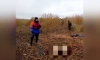 Спасатели Ленобласти нашли скелет человека в Ладожском озере