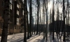 Петербуржцам пообещали потепление в субботу