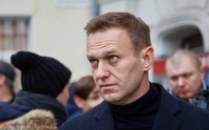 Новое уголовное дело в отношении Алексея Навального поступило в суд