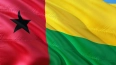 В Гвинее выявили первый случай заболевания лихорадкой ...