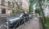 В Петроградском районе Петербурга дерево упало на Audi