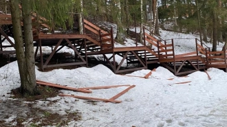 В Луге в Заречном парке вандалы разгромили лестницу