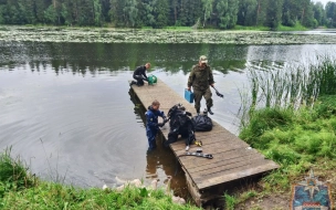 В Вырице мужчина ушел купаться и не вернулся домой