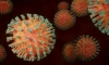 Биолог назвала причину мутации коронавируса 