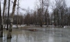 Мокрый снег и +4 градуса ожидаются в Петербурге 16 февраля