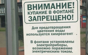 Дети в Кудрово искупались в фонтане с реагентами