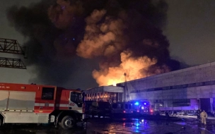 Прокуратура заинтересовалась пожаром склада в Металлострое