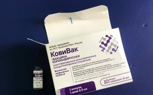 За минувшие сутки более 10 тыс. петербуржцев сделали прививку от коронавируса