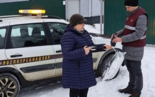 После пожара в порту Усть-Луга в воздухе не обнаружили превышения опасных веществ