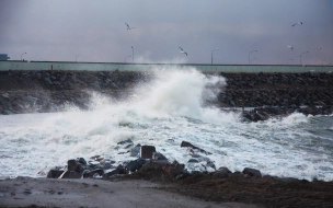 В петербургской Неве уровень воды поднялся на метр