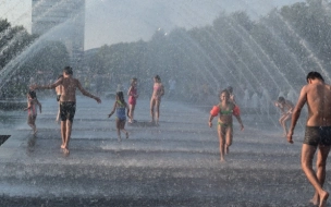 Синоптик заявил о возвращении жары в Петербург в августе