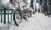 Синоптик Колесов: в Петербург ненадолго возвращаются заморозки