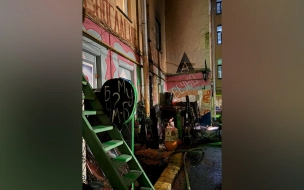 Поджог мастерской художника на Полозова обернулся уголовным делом