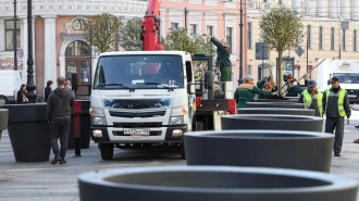 В центре Петербурга высадили первые яблони в горшках