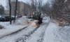 С улиц Петербурга за неделю вывезли почти 222 тыс. "кубов" снега