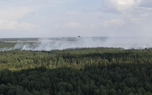 В Ломоносовском районе военные заливают тлеющий лес с вертолетов