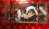 Две активистки облили кремом картину на выставке Бэнкси в Петербурге