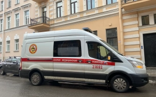 В центре Петербурга водитель иномарки сломал нос сбитому пешеходу