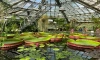 Сегодня последний день работы Водной оранжереи в Ботаническом саду в этом году