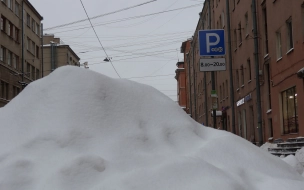 Петербург обновил снежный максимум с начала зимы