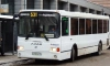 Ленинградские автобусы возвращаются к метро "Ладожская" 