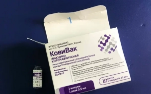 Более 3,3 петербуржцев вакцинировались от ковида 