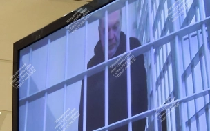 Бывшему чиновнику Минкультуры РФ Борису Мазо петербургский суд не стал смягчать наказание