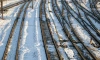 Названа десятка самых распространенных направлений из Петербурга на поезде весной