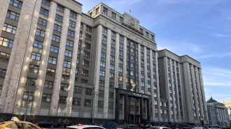В Госдуме предложили бесплатно заменять нестандартные номера машин