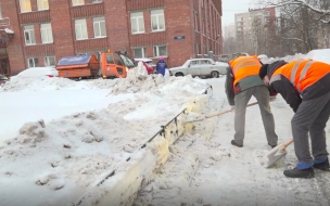 Депутаты Петербурга призвали привлечь Росгвардию для уборки снега