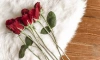 ТОП-5 идей для необычного свидания в День святого Валентина