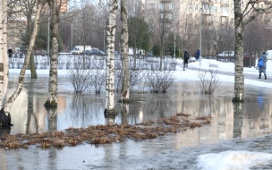 Затянувшаяся февральская погода в Петербурге подходит к концу