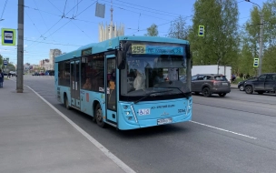 Две компании поставят в Петербург более 200 автобусов