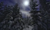 В ночь на 8 января в Петербурге и Ленобласти наблюдали лунное гало