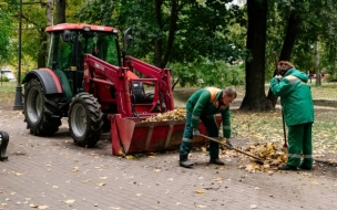 Петербургский службы занялись уборкой города от осенней непогоды