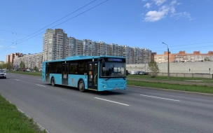 Маршруты двух автобусов в Петербурге изменятся с 31 июля