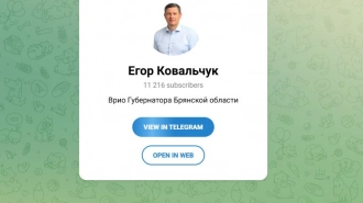 В Брянской области при атаке дрона пострадали четыре девушки