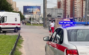В Петербурге возбуждено уголовное дело после нападения 17-летнего курьера на мужчину и его сына