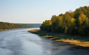 Петербурженка утонула на левом берегу Дона во время отпуска