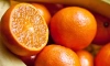 В Петербург привезли 25,4 тонны апельсинов с личинками насекомого
