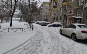 В Петербурге возбудили 89 административных дел за плохую уборку крыш от снега и наледи