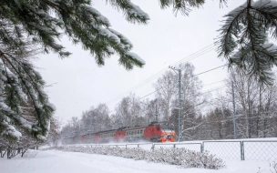 Пассажиропоток по "такту" до Сестрорецка вырос на 10%