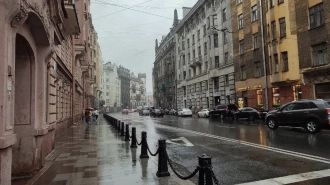 Петербург освежат дожди на предстоящих выходных 