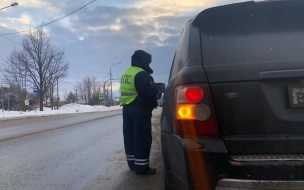 В январе Госавтоинспекция проводит дополнительную работу в аварийных местах в Ленобласти