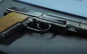 В Смольном опубликовали список поликлиник, где выдают справки для лицензии на оружие