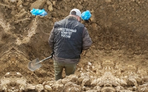 Археологи считают найденное поисковиками захоронение в Новой Буре старинным кладбищем