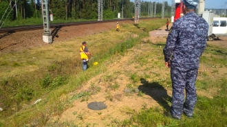 Колония в Ленобласти поставила рабочую силу РЖД