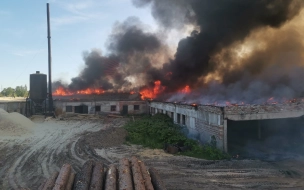 Пожар на пилораме в Дыми тушили почти 13 часов