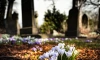 В Петербурге ищут двоих, ранивших ножом сотрудника Волковского кладбища