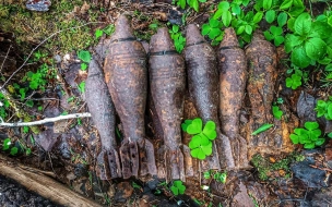 Грибник из Петербурга нашел в лесу корзину минометных снарядов